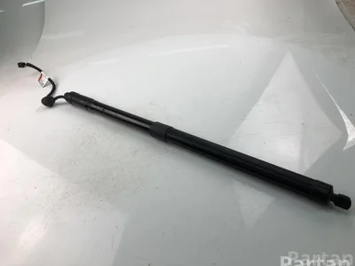 Volvo 31690929 XC60 II (246) 2019 Federn/Federbein und Stoßdämpfer - Bild 1