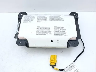 Jaguar 250998, 761617 F-TYPE Cabriolet (X152) 2015 Beifahrerairbag - Bild 1