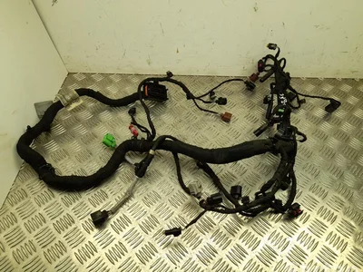 Volkswagen 03N972627C PASSAT Variant (3G5) 2018 Cables de la sección de motor - Imagen 1