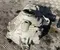 Gebrauchtes Original Mercedes-Benz A2233302503, 3.266 / A2233302503, 3266 GLC X254 2023 Vorderachsgetriebe - Bild 2