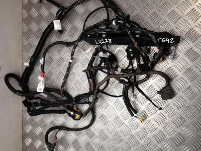 Tesla P2489040-04-B / P248904004B Model Y 2022 Harnais - Image 1