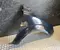 Nissan NP300 NAVARA Pickup (D23) 2016 Wing right side - Image 1