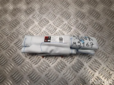 Tesla 1077829-CN-F / 1077829CNF MODEL 3 2021 Airbag lateral - Imagen 1