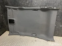 MG 11539888 MG4 Trophy 2024 Podsufitka