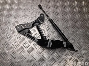 Tesla 1058042RH MODEL X 2016 Hinge, bonnet