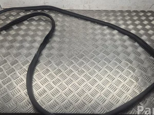 Nissan Ariya 2024 Door Seal Right Front