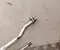Smart A4538301901, 924804121R FORFOUR Hatchback (453) 2022 air conditioning, hoses/Pipes - Image 3