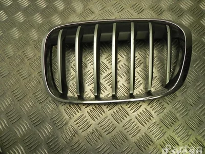 BMW 7354823 X1 (F48) 2018 Grillades - Image 1