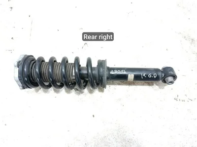 BMW 6891986, 689198603, 3350689198603, 14678612, 5A3A0D5, 5A3A0D5-01 / 6891986, 689198603, 3350689198603, 14678612, 5A3A0D5, 5A3A0D501 iX 2023 Amortyzator z tyłu po prawej - Zdjęcie 1
