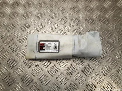 Tesla 1660475-CN-B / 1660475CNB Model Y 2022 Airbag latéral - Image 1