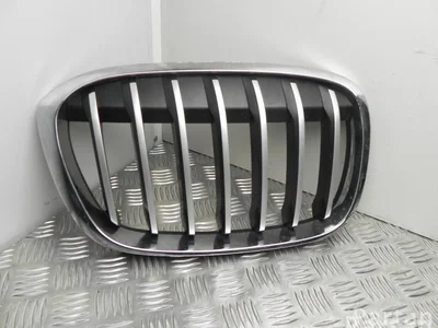 BMW 7 354 824 / 7354824 X1 (F48) 2016 Grillades - Image 1