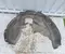 Ford Kuga III 2020 Radhausschale hinten rechts - Bild 1
