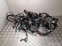 Tesla 1004416-93-N, 1004417-06-N, 1004429-00-P / 100441693N, 100441706N, 100442900P MODEL S 2015 Cables de salón