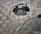 Gebrauchtes Original Toyota 86862-78010 / 8686278010 PRIUS PHV (_W52_) 2019 Antenne - Bild 2