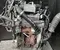 Volkswagen DAUA CRAFTER Box (SY_) 2021 Complete Engine - Image 2