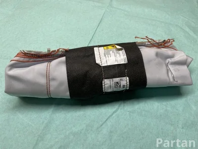 Ford DM51611D11AA C-MAX II (DXA/CB7, DXA/CEU) 2015 Airbag conductor - Imagen 1