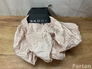 Škoda 5LA880201C ELROQ (PYL) 2025 Fahrerairbag