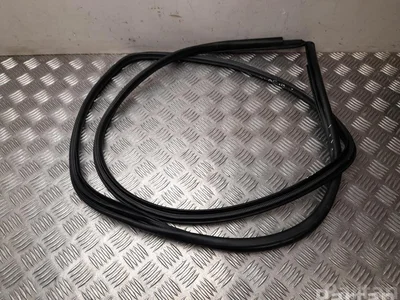 Toyota 017 RAV 4 V 2020 Joint d'étanchéité de porte Left Rear - Image 1