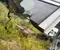 Subaru OUTBACK (BT) 2020 Side sill Right - Image 2