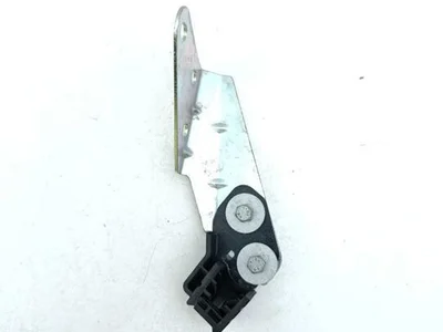 Ferrari California 2010 Durų lankstas kairysis galinis - Paveiksliukas 1