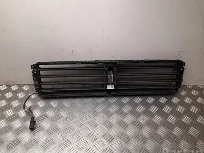 Škoda 5E0 122 321 G / 5E0122321G OCTAVIA III (5E3) 2015 Embellecedor del radiador - Imagen 1