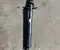 Audi 8W0521101D A5 Sportback (F5A) 2021 Propshaft Rear - Image 1