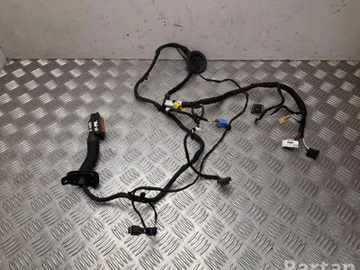 Audi 4KE 971 029 DQ / 4KE971029DQ Q8 e-tron 2023 Harness for interior Door - Image 1