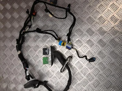 Peugeot 9837478580 3008 SUV 2021 Harnais pour intérieur Porte - Image 1