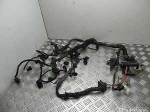 BMW 7802194 X1 (E84) 2012 Fils du compartiment moteur