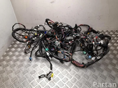 Tesla 1004416-93-N, 1004417-06-N, 1004429-00-P / 100441693N, 100441706N, 100442900P MODEL S 2015 Cables de salón - Imagen 1