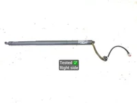 Jeep 68371475AA, 601606 GRAND CHEROKEE V (WL) 2022 Gas Spring