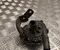 Tesla 6007367-00 / 600736700 MODEL S 2014 Zusatzwasserpumpe - Bild 1
