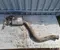 Mercedes-Benz A2054906921, A2054911701 C-CLASS (W205) 2015 Schalldämpfer - Bild 1