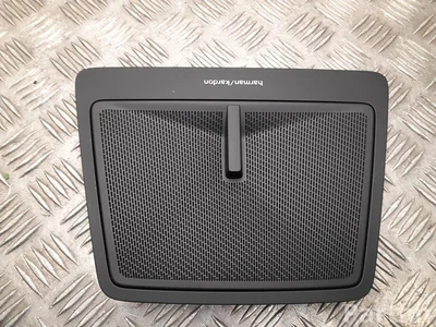 Polestar 10349668, 80013175, 574297, 8892887711 4 2025 Grille de haut-parleur - Image 1