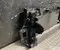 BAIC X75 2025 Lock carrier - Image 2