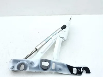 Aston Martin 4G43406A10AC VIRAGE Volante 2012 Gas Spring - Image 1