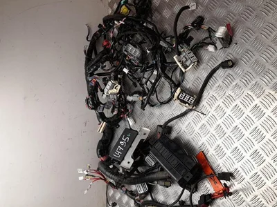 Tesla 1004428-01-N, 1015585-00-A, 1013650-00-E / 100442801N, 101558500A, 101365000E MODEL S 2015 Harnais - Image 1