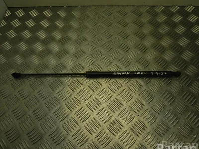 Nissan 90450JD01B QASHQAI / QASHQAI +2 I (J10, JJ10) 2008 Ressort à gaz - Image 1