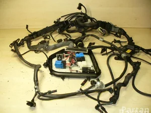 BMW 7575185 6 Convertible (F12) 2012 Fils du compartiment moteur