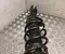 Kia 54651-SZ100 / 54651SZ100 EV4 (CT) 2026 suspension strut, complete Right Front - Image 1