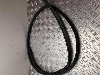 Nissan 664 JUKE (F16) 2022 Joint d'étanchéité de porte Left Rear - Image 1