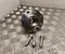 Opel V400542 ASTRA CLASSIC (L48) 2012 rato guolis - Paveiksliukas 1