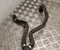 Mercedes-Benz A2545010700 GLC X254 2023 Conducto del refrigerante - Imagen 1