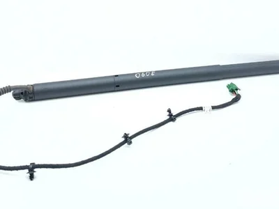 Mercedes-Benz A2978900100 EQS (V297) 2022 Gasfeder - Bild 1