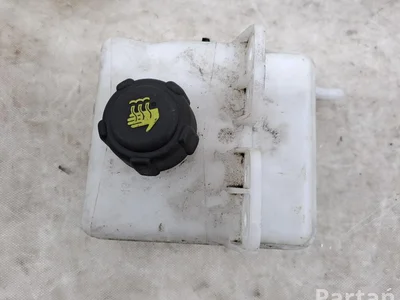 Renault 0204850986 ZOE (BFM_) 2022 Vase d'expansion - Image 1