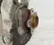 BMW 6890172 1 (F70) 2025 Front Control arm kit right side - Image 3