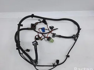 BMW 780965001, 780964901 5 Touring (F11) 2012 Harnais