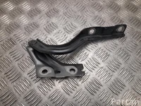 MG 10961112 MG4 Trophy 2024 Lankstas, gaubtas