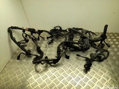 Toyota 8212142N40 RAV 4 V 2020 Harnais - Image 1