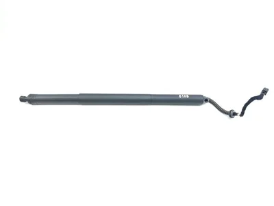Volkswagen 3CN827851B ATLAS (CA1, CA2, CA3) 2019 Gas Spring - Image 1
